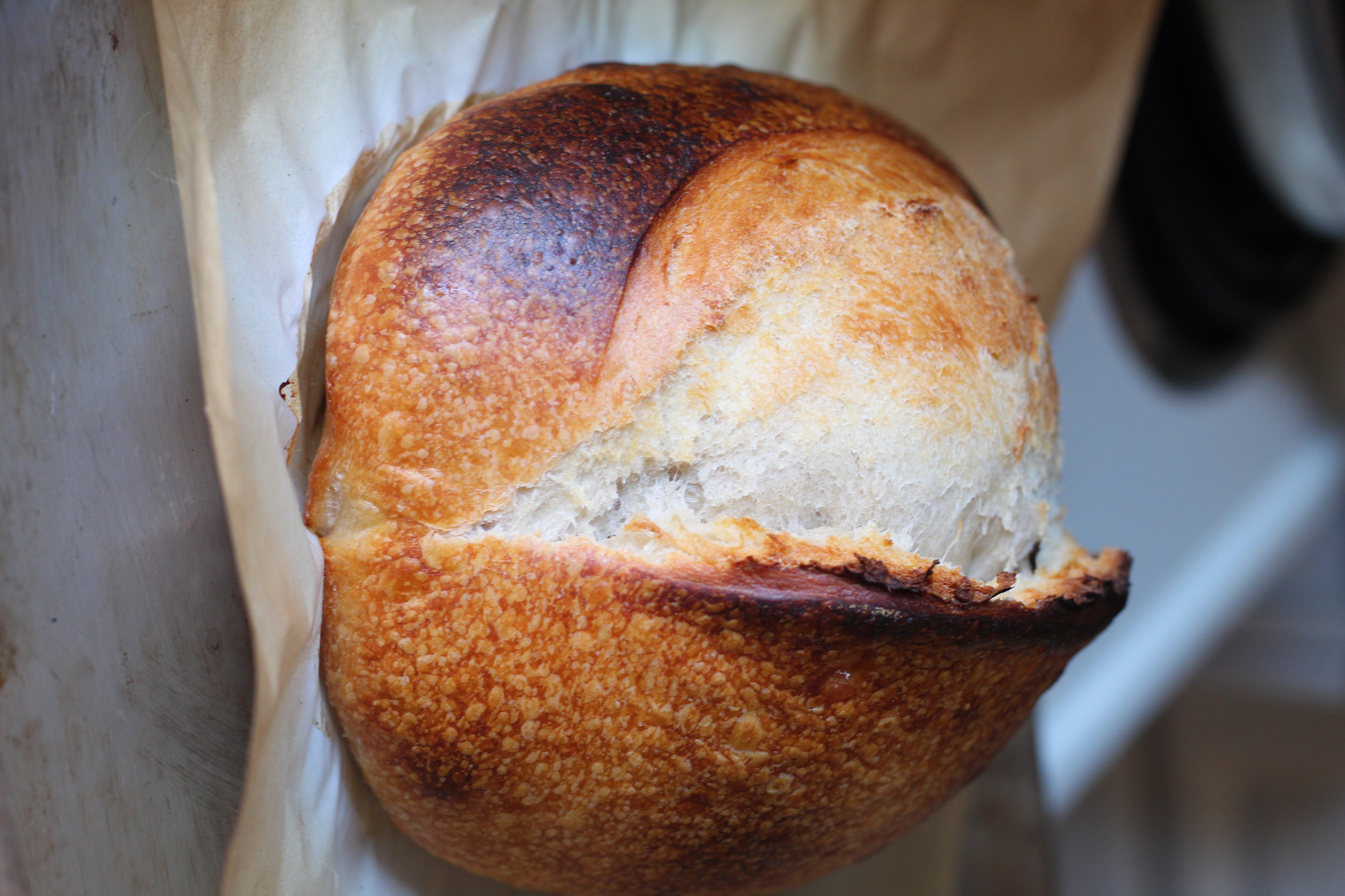 Rustic Sandwich Loaf — even crumb, golden crust