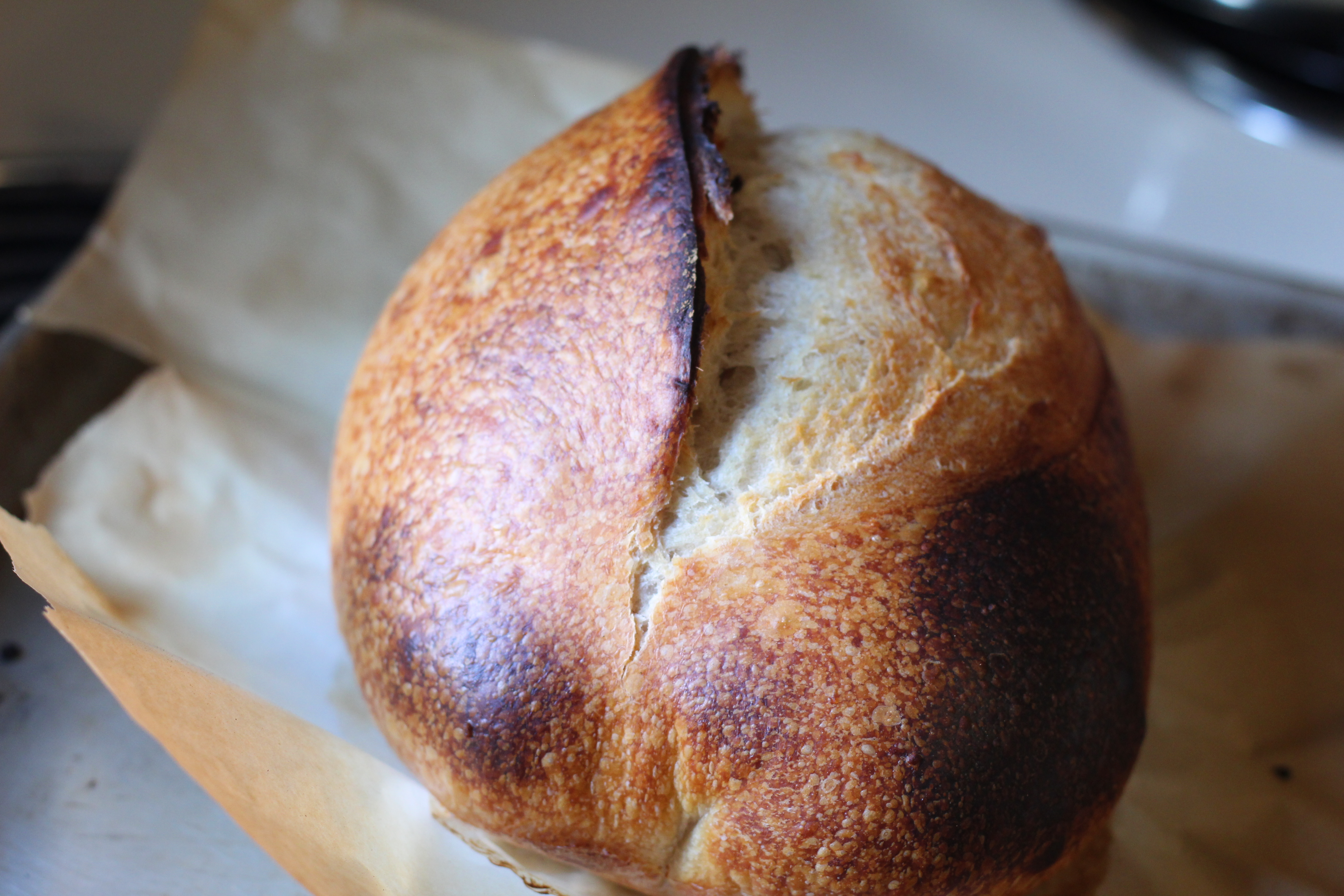 Classic Tavern Boule — golden, blistered crust